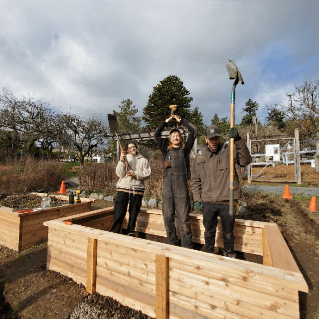 Three people standing inside a new wooden raised garden bed holding gardening tools; a shovel, a trowel, and a hoe. The person in the middle is holding a cordless drill with their arms raised above their head as a form of celebration, while the other two people are smiling. The garden beds are at Welland Community Orchard,  with another raised bed, trees, and cloudy skies in the background.